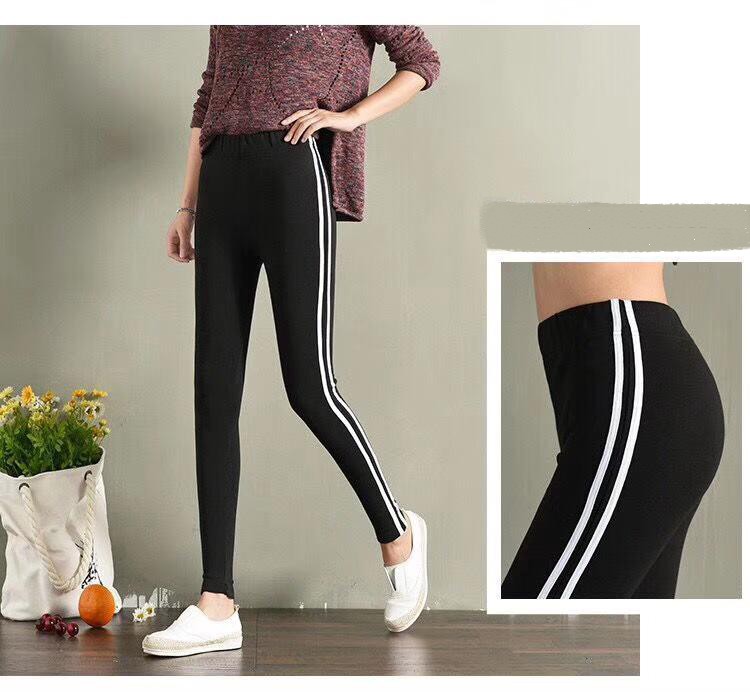 Ladies Jogger Pants